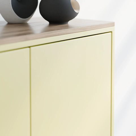 ארונית אחסון מודרנית Odyssey עם גוף בצבע אפוקסי, משטח פורניר ורגלי עץ מלא בסגנון סקנדינבי נקי | פוני סטייל