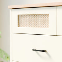 שידת מגירות בוהו שיק Plush עם 16 תאים, חזיתות ראטן ורגלי עץ מלא | פוני סטייל