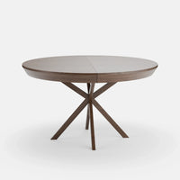 אגוז אמריקאי